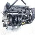 Двигатель (ДВС) бу для Ford Focus 1 1.6 i, 2004 г. из Европы б у в Минске без пробега по РБ и СНГ FYDB