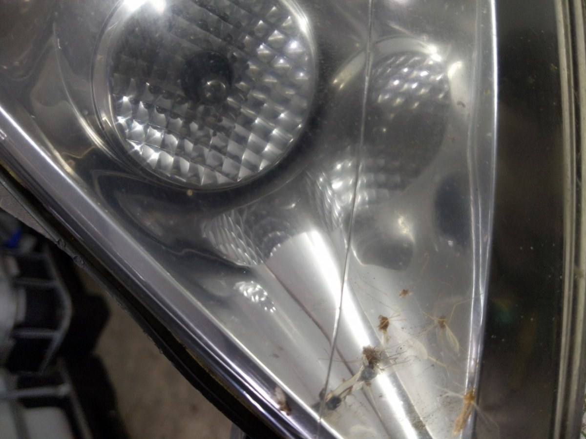 Фара левая бу для Fiat Scudo  2.0 JTD,  2008 г.