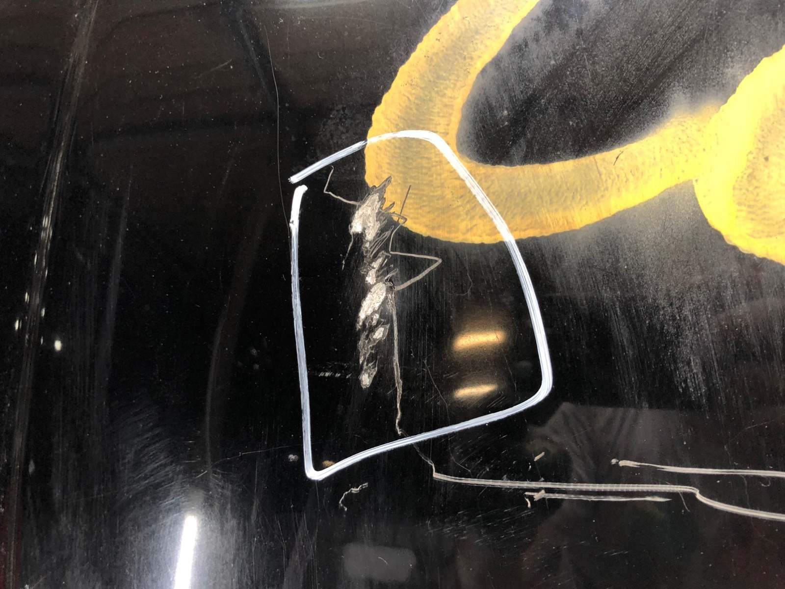 Капот бу для Jaguar XJ  2.7 TD,  2006 г.