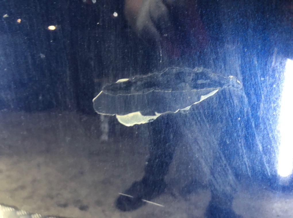 Капот бу для Volkswagen Touareg  3.0 TDi,  2005 г.