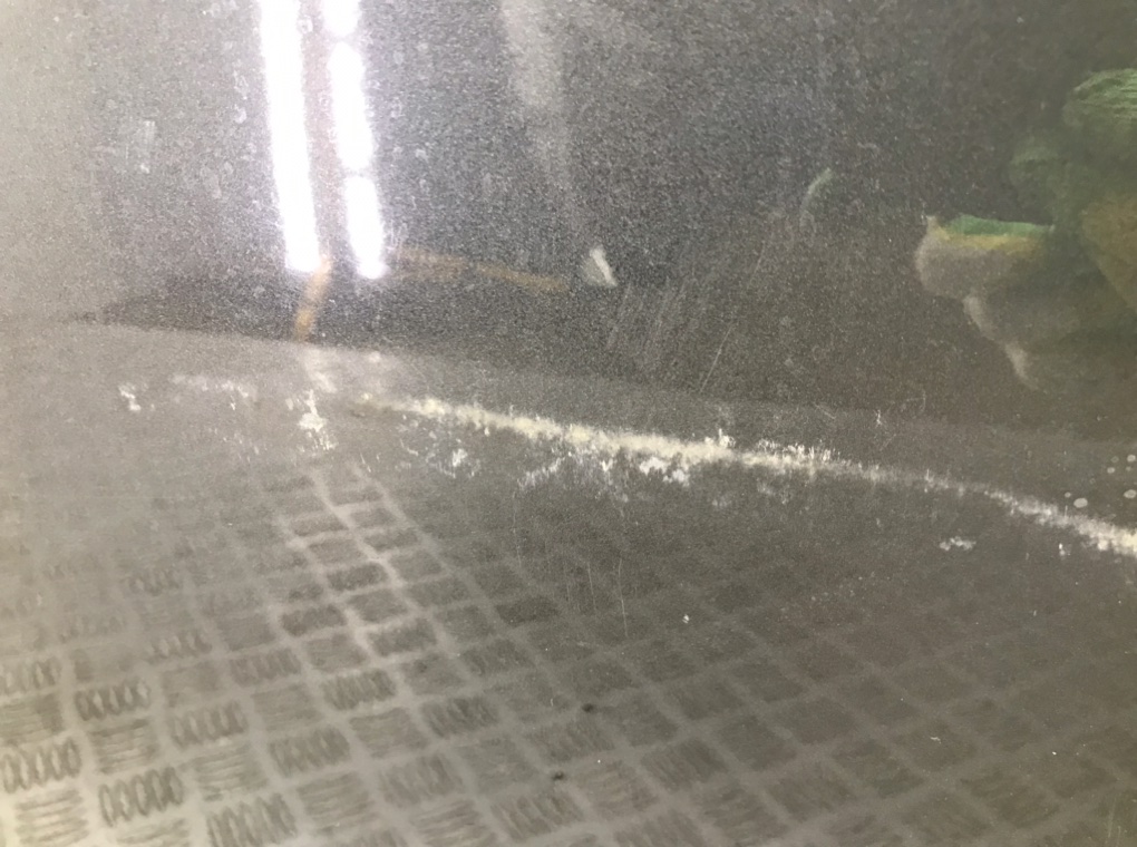 Дверь передняя правая бу для Mini Cooper R56 1.6 i,  2012 г.