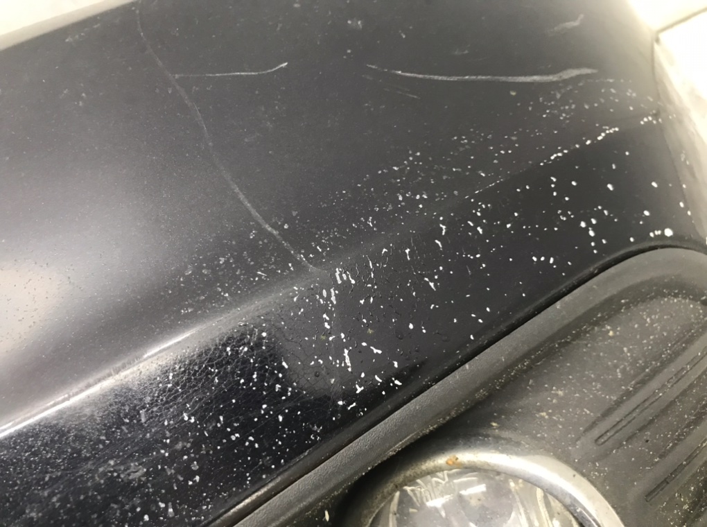 Бампер передний бу для Ford Focus 2 1.6 TDCi, 2008 г. Бампер передний бу для Ford Focus 2 1.6 TDCi, 2008 г.