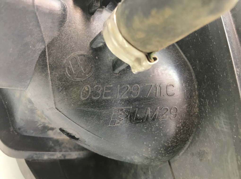 Коллектор впускной бу для Seat Ibiza 3 1.2 i,  2002 г.