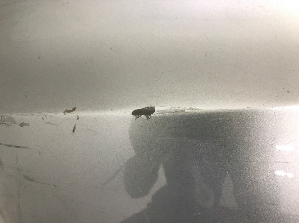 Бампер задний бу для Audi A6 C6 2.0 TDi,  2007 г.