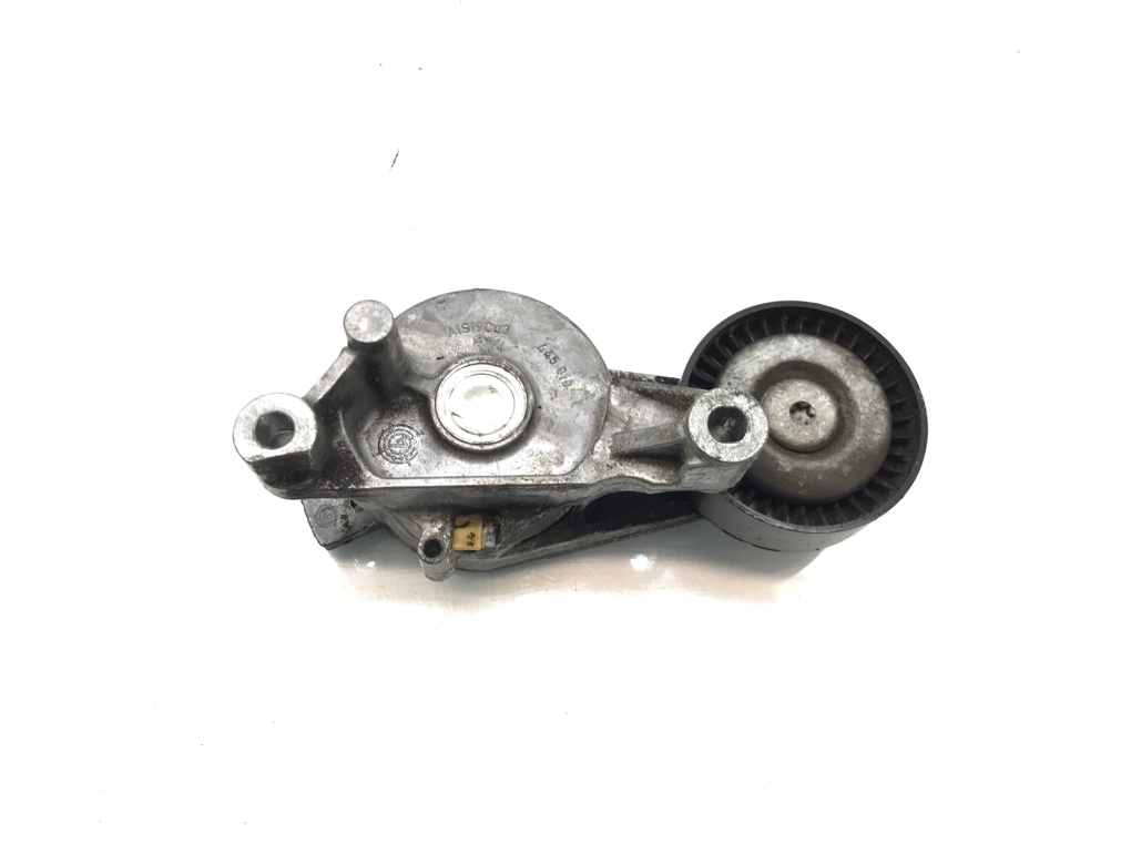 Натяжитель ремня генератора бу для Seat Leon 2 2.0 TDi, 2006 г.