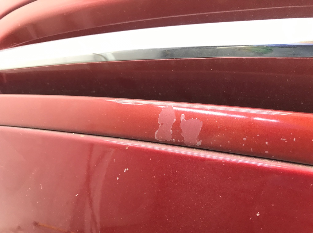 Капот бу для Citroen Xsara Picasso  1.6 HDi,  2008 г.