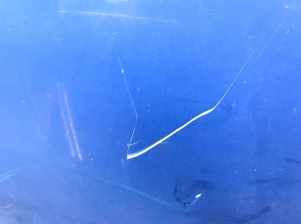 Капот бу для Ford Transit 6 2.4 TDDi,  2004 г.