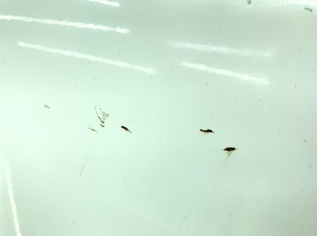 Дверь сдвижная левая бу для Volkswagen Caddy 1.9 TDi, 2008 г. Дверь сдвижная левая бу для Volkswagen Caddy 1.9 TDi, 2008 г.