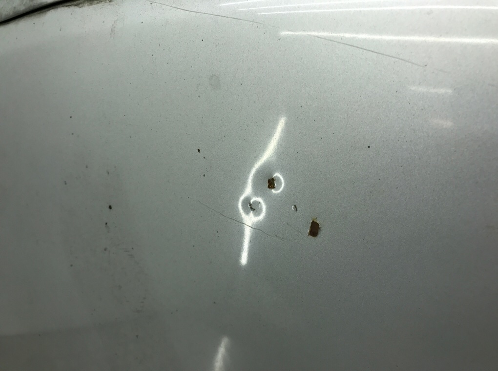 Капот бу для Ford C-Max 1 1.6 i,   г.