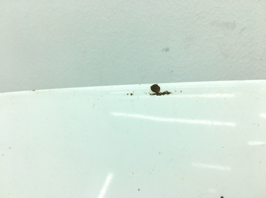 Капот бу для Peugeot Expert 1 2.0 HDi,  2007 г.