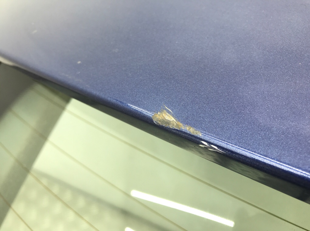 Крышка багажника бу для Ford Focus 2 1.6 i,  2010 г.