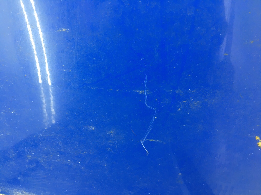 Крыло переднее левое бу для Volkswagen Polo 4 1.2 i,  2006 г.