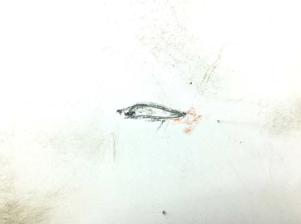 Капот бу для Audi A5  2.0 TFSi,  2009 г.