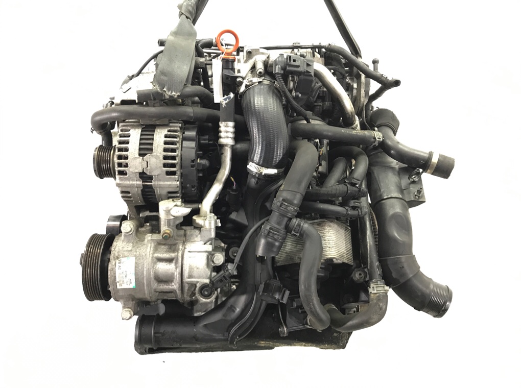 Двигатель (ДВС) бу для Volkswagen Passat B6 2.0 TDi, 2009 г. Двигатель (ДВС) бу для Volkswagen Passat B6 2.0 TDi, 2009 г.