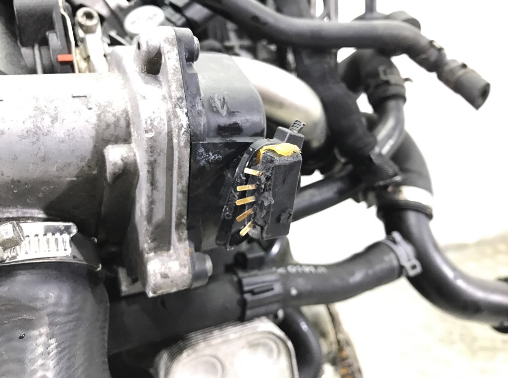 Двигатель (ДВС)  бу для Volkswagen Golf 6 1.6 TDi,  2011 г.