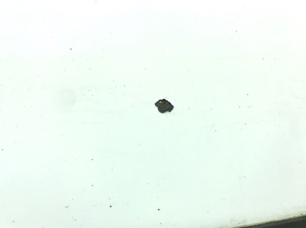 Дверь передняя правая бу для Ford Transit Connect  1.8 TDCi,  2011 г.