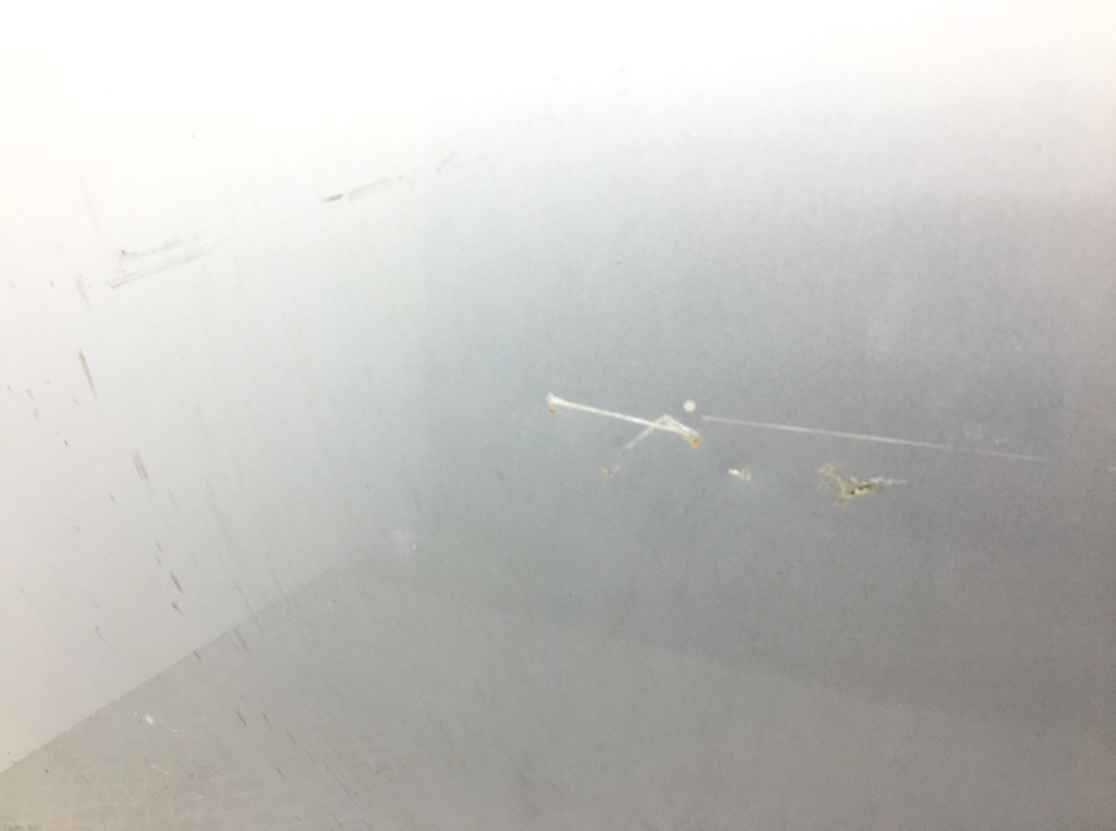 Капот бу для BMW 5 E60/E61 2.0 TD,  2007 г.